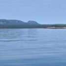 Money is never still