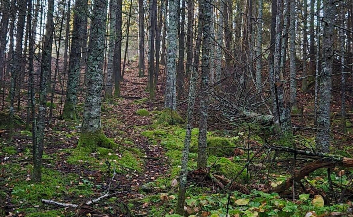 pathfinding uphill (2)